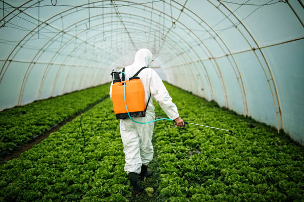 Best Pest Control for Restaurants  in Lynchburg, VA